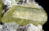 Apatite Crystals In Matrix - Durango, Mexico #43409-3